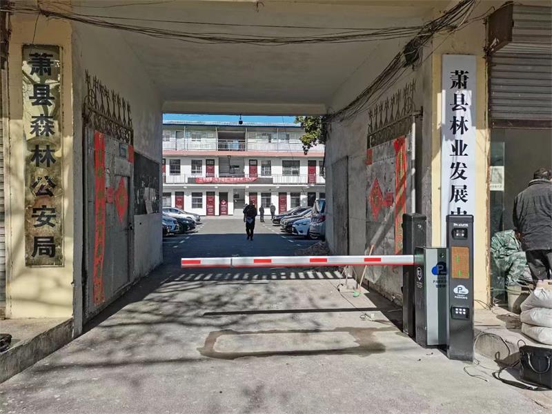 萧县森林公安局午夜视频网站在线观看系统