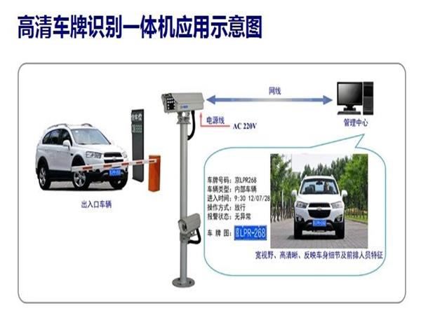 徐州午夜视频网站在线观看公司